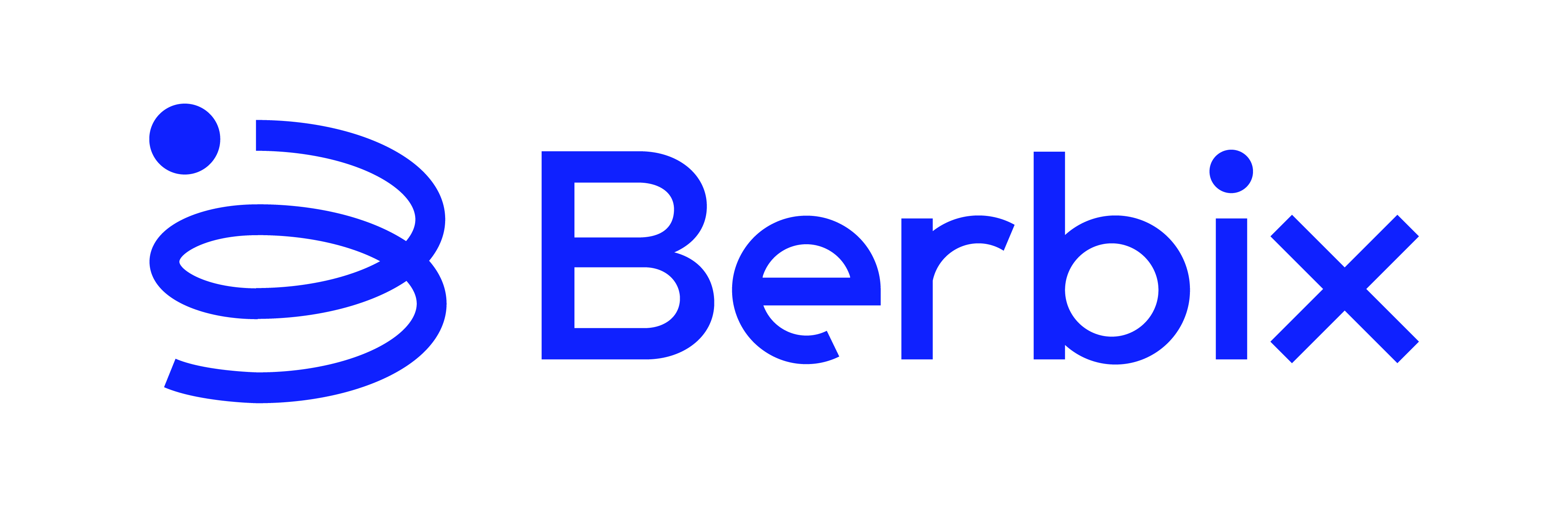 Berbix-Logo-Lockup_Cobalt-01-01 (1)